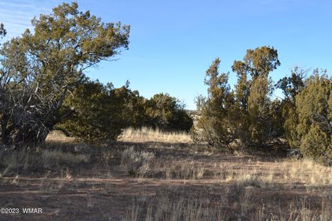 3919 Trebil Blvd, Snowflake, AZ 85937 photo 4