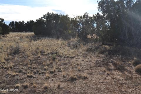 3919 Trebil Blvd, Snowflake, AZ 85937 photo 6