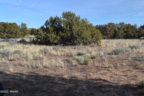 3919 Trebil Blvd, Snowflake, AZ 85937 photo 2