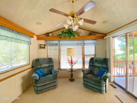 2704 Rustlers Roost Rd, Overgaard, AZ 85933 photo 4