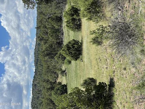 6325 Natures Way, Burton, AZ 85934