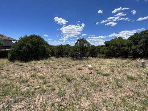 580 S Rock Ridge Dr, Show Low, AZ 85901