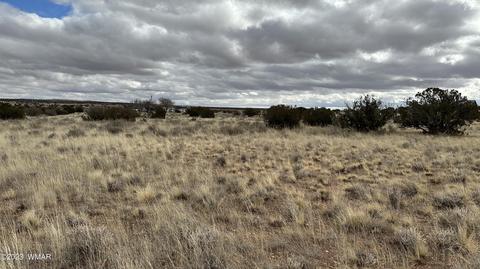 7565 Cedar Ln, Snowflake, AZ 85937 photo 6