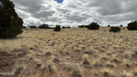 7565 Cedar Ln, Snowflake, AZ 85937