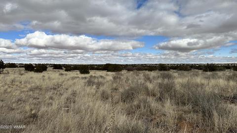 7565 Cedar Ln, Snowflake, AZ 85937 photo 10