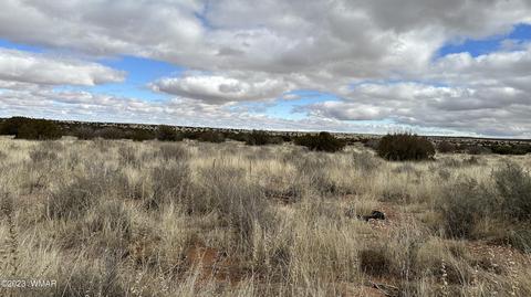 7565 Cedar Ln, Snowflake, AZ 85937 photo 9