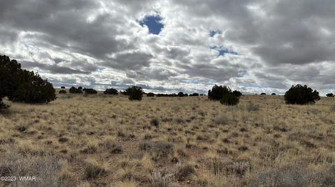 7565 Cedar Ln, Snowflake, AZ 85937 photo 2