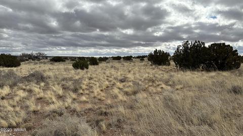 7565 Cedar Ln, Snowflake, AZ 85937 photo 4