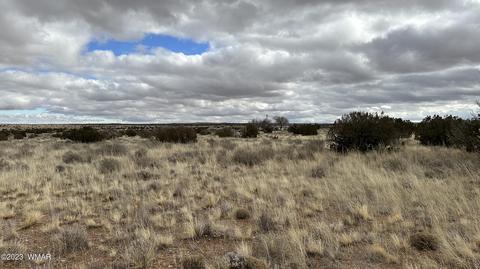 7565 Cedar Ln, Snowflake, AZ 85937 photo 8