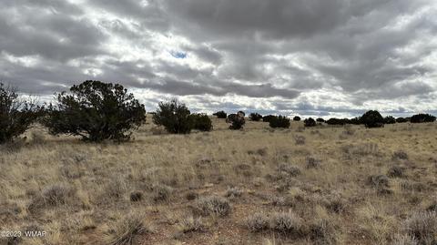 7565 Cedar Ln, Snowflake, AZ 85937 photo 7