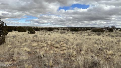 7565 Cedar Ln, Snowflake, AZ 85937 photo 5