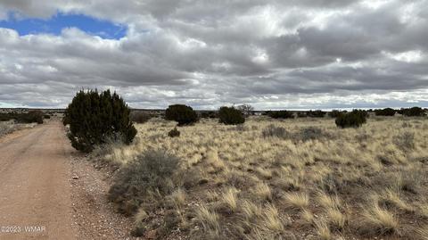 7565 Cedar Ln, Snowflake, AZ 85937 photo 3