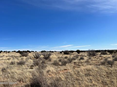 5193 Windmill Ln, Snowflake, AZ 85937 photo 1