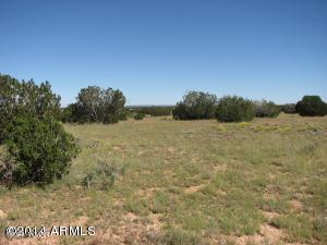 5873 Canyon View Lot 101 Dr, Heber, AZ 85928