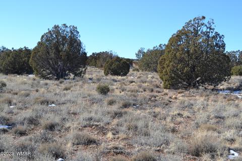 4440 Colt Rd, Snowflake, AZ 85937 photo 9
