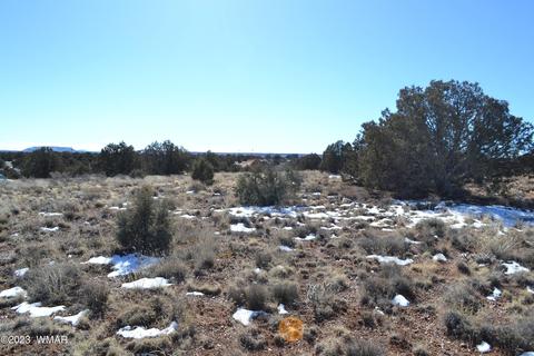 4440 Colt Rd, Snowflake, AZ 85937 photo 2