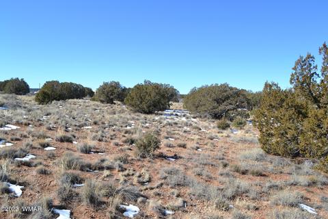 4440 Colt Rd, Snowflake, AZ 85937 photo 4