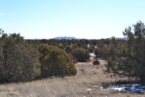 4440 Colt Rd, Snowflake, AZ 85937 photo 1