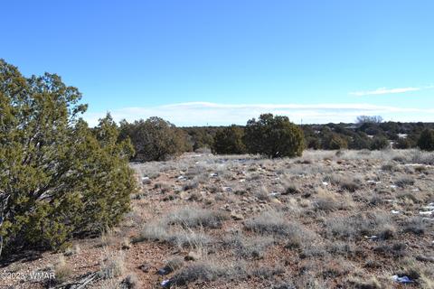 4440 Colt Rd, Snowflake, AZ 85937 photo 5
