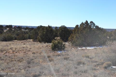 4440 Colt Rd, Snowflake, AZ 85937 photo 8