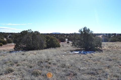 4440 Colt Rd, Snowflake, AZ 85937 photo 7