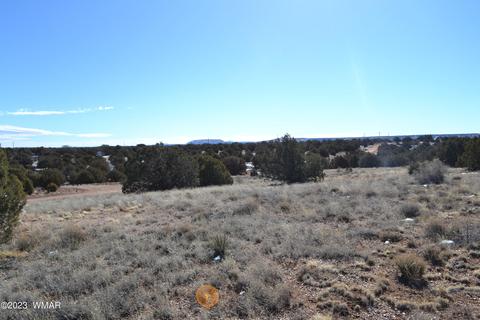 4440 Colt Rd, Snowflake, AZ 85937 photo 6