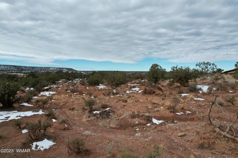 0 Paso Dr, Snowflake, AZ 85937