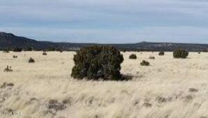 lot69 Pine Ridge Rnch, Vernon, AZ 85940