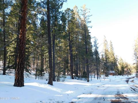 lot1 Squaw Vly, Alpine, AZ 85920