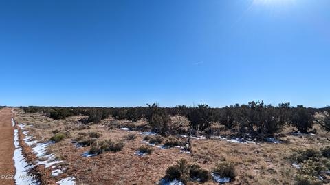 lot18 Carrizo Rnch, Saint Johns, AZ 85936
