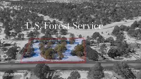3906 Porter Creek Ln, Lakeside, AZ 85929