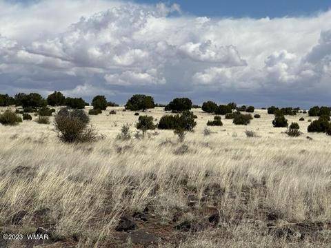 lot1 Windsor Valley Rnch, Concho, AZ 85924