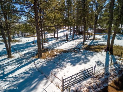 4 Co Rd 2096, Alpine, AZ 85920 photo 2