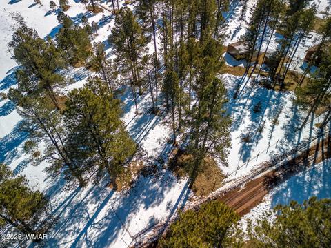 4 Co Rd 2096, Alpine, AZ 85920 photo 3