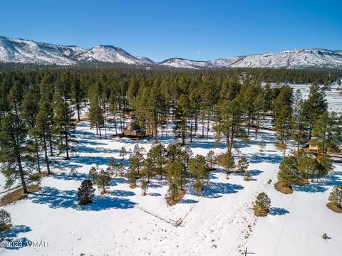 4 Co Rd 2096, Alpine, AZ 85920 photo 8