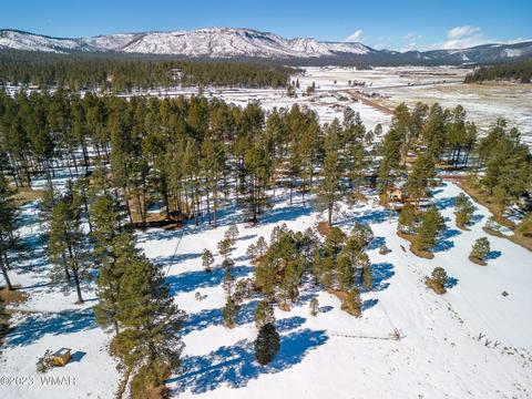4 Co Rd 2096, Alpine, AZ 85920 photo 10