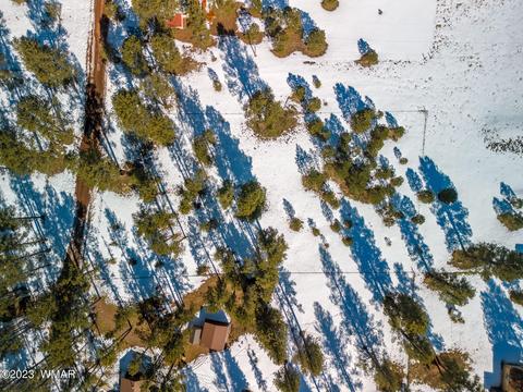 4 Co Rd 2096, Alpine, AZ 85920 photo 9