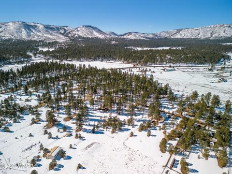 4 Co Rd 2096, Alpine, AZ 85920 photo 7