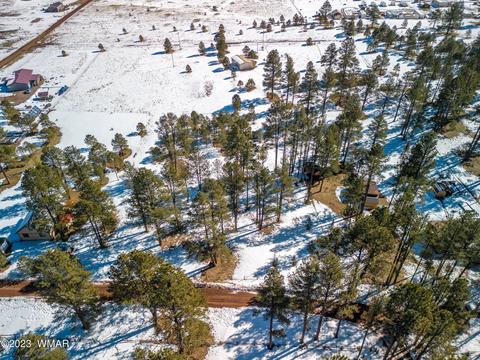 4 Co Rd 2096, Alpine, AZ 85920 photo 4