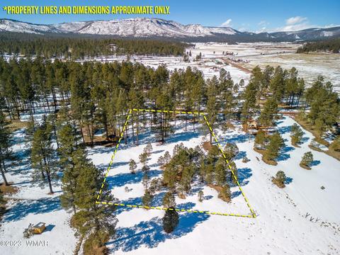 4 Co Rd 2096, Alpine, AZ 85920