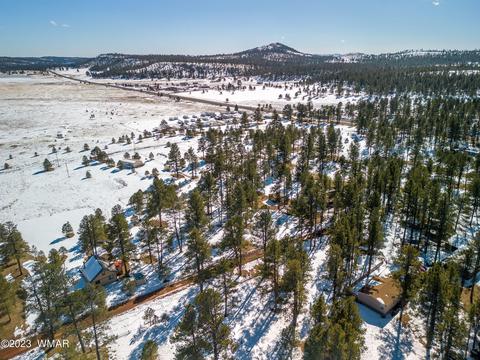 4 Co Rd 2096, Alpine, AZ 85920 photo 5