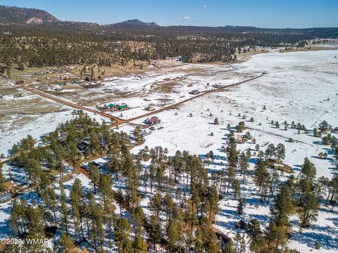 4 Co Rd 2096, Alpine, AZ 85920 photo 6