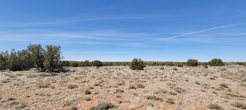 7632 Juniper Berry Trl, Snowflake, AZ 85937 photo 4