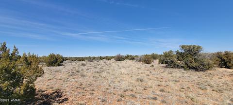 7632 Juniper Berry Trl, Snowflake, AZ 85937 photo 2