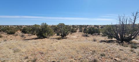 7632 Juniper Berry Trl, Snowflake, AZ 85937 photo 5