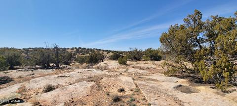 7632 Juniper Berry Trl, Snowflake, AZ 85937 photo 6