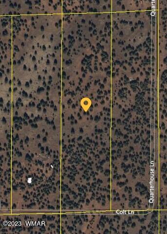 8132 Colt Ln, Show Low, AZ 85901