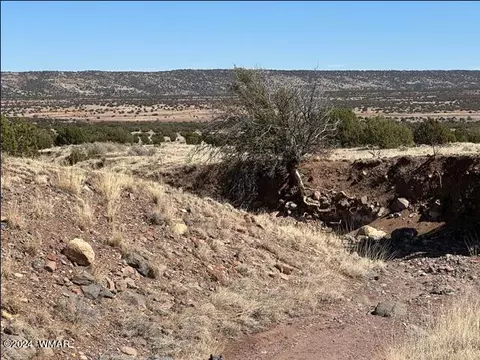 lot61 Pinon Valley Rnch, Concho, AZ 85924