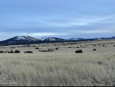 tbd Lot 29 N3546, Concho, AZ 85924