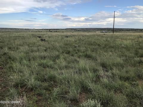 24 County Road 6032, Saint Johns, AZ 85936